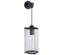 Paulmann Outdoor applique murale extérieure 1x60 W transparent-anthracite 94281