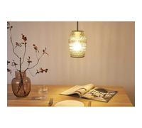 Paulmann Pauleen Suspension Crystal Sparkle Verre Fumé Ø13cm 4W E27 Blanc Chaud