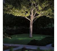 Paulmann Plug & Shine Spot Sur Piquet Led Radon Gris