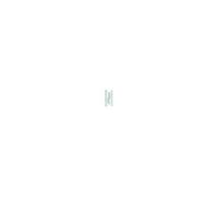 Paumelle gauche bois LOUTRE SEDAN 80x45 mm bouts ronds zingué - - J530090