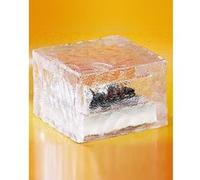 Lunartec Pavé Lumineux à LED Solaire - 15 x 15 x 5 cm