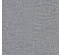 Paviot 20 Serviettes de Table en intissé Unie Argent