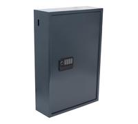 Pavo Armoire à cles Haute sécurité pour 300 clés/Coffre-Fort à clés/Dimension: 640 x 410 x 250 mm/Lecteur d'empreintes digitales/Connecteurs Type-C / 300 Porte-clés Inclus - Avancé