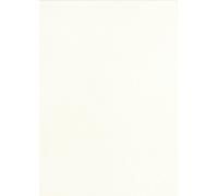 Pavo - Plats de couverture A3 grain cuir 250 g , Paquet de 100 - Blanc
