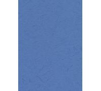 Pavo - Plats de couverture A4 grain cuir 250 g , Paquet de 100 - Bleu