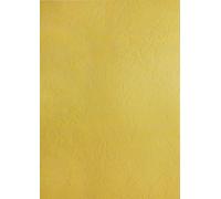 Pavo - Plats de couverture A4 grain cuir 250 g , Paquet de 100 - Jaune