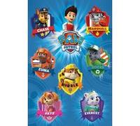 Paw Patrol - 61x91,5 cm - AFFICHE / POSTER G