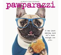 Pawparazzi 2020 Square Wall Calendar