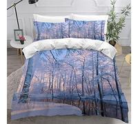 Paysage De Neige D'hiver Housse de Couette 240x260 Adulte 3D Motif Pays Forestier Parure de Lit 2 Personnes en Doux Microfibre Linge de Lit 3 Pièces avec Fermeture Éclai et 2 Taie d'oreiller 50x75