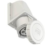 PC Electric 1242-1 Prise murale femelle CEE 32 A 4 pôles 1 pc(s)