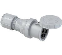 Pce Kupplung 125A 5P 1H Ip67 Twist (245-1 1H Notstrom)