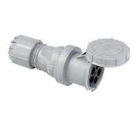 Pce Kupplung 125A 5P 1H Ip67 Twist (245-1 1H Notstrom)