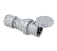 Pce Kupplung 125A 5P 1H Ip67 Twist (245-1 1H Notstrom)