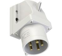 PC Electric Power Twist 525-1 Prise murale mâle CEE 32 A 5 pôles 1 pc(s)