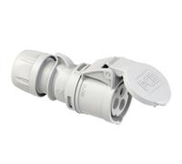 PC Electric Shark 213-1 Femelle CEE 16 A 3 pôles 1 pc(s)