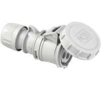 PC Electric Shark 2132-1 Femelle CEE 16 A 3 pôles 1 pc(s)