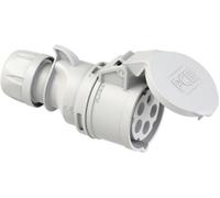 PC Electric Shark 215-1 Femelle CEE 16 A 5 pôles 1 pc(s)