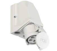 PC Electric Shark 924-1 Prise murale femelle CEE 32 A 4 pôles 1 pc(s)
