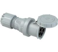 Pce Kupplung 125A 5P 1H Ip67 Twist (245-1 1H Notstrom)