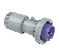 PCE Twist 0622v Mâle CEE 16 A 2 pôles 24 V 1 pc(s)