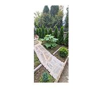 Pcs - 10x Paulownia Fortunei Blauglocken Arbre Jardin Plantes - Graines ID147 - Seeds & Plants Shop by Ipsa