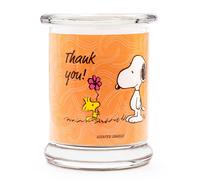 Peanuts Bougie parfumée ™