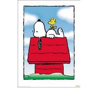 PEANUTS - Snoopy sur Niche - 68,5x101,5cm - Affiche / Poster