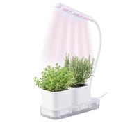 PEARL Mini serre : mini station de culture et de propagation, 2 pots, LED de croissance et réservoir d'eau (boîte de croissance, mini station de propagation, distributeur d'eau)