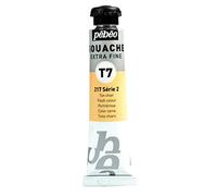 Pébéo Peinture Gouache 1 Tube de 20 ml Ton Chair 121-217