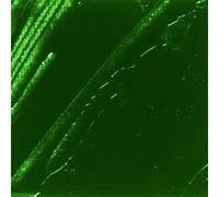 Peinture huile fine Studio XL - 200 ml Vert G