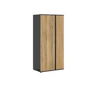 Pegane Armoire 2 portes design - Chêne