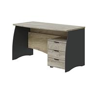 Pegane Bureau professionnel avec caisson - Chêne