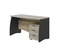 Pegane Bureau professionnel avec caisson - Chêne
