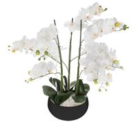 Pegane Orchidée artificielle en pot - Blanc