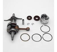PEGGYLINE Kit vilebrequin et piston 35 mm, joint d'huile de vilebrequin adapté for GX25 UMK425 GX25N GX25NT GX25T HHT25S 13310-Z3E-000 91211-Z0H-003