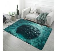 PEIHUODAN Tapis Chambre Ado 3D Illusion Optique Motif Fissure de Lave, Monde sous-Marin, Forêt de Dinosaures, Antidérapant Doux, Tapis de Sol Salon Chambre, Tapis de Bain, 100x200 cm, Color 3