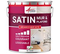 Peinture murale satin velours blanche Blanc 10 L