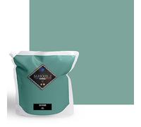 Peinture Acrylique Vert Céladon Icône - Aspect Satin - Peinture Mur, Plafond, Boiserie & Balcon - Lessivable - Séchage En 30 min - COV Fabriquée En France - 5 L - BARBOUILLE
