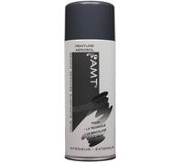 AMT Bombe de peinture aérosol Ardoise – Peinture acrylique, résistante à la pluie et à la lumière