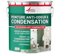 Peinture Anti Condensation, Anti Odeur, Moisissure 2.5 L Vert Blanc | Anti-Condensation et Anti-Odeur, Limite les Moisissures, Lavable, Murs et Plafonds, Pièces Humides - Arcane Industries