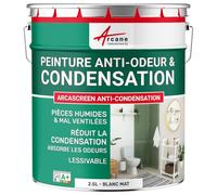 Peinture anti condensation anti odeur moisissure Blanc 2.5 L