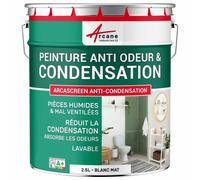 Peinture anti condensation anti odeur moisissure Blanc 2.5 L