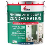 Peinture anti condensation anti odeur moisissure Bleu vert RAL 5001 2.5 L