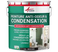 Peinture anti condensation anti odeur moisissure Brun noir RAL 8022 2.5 L