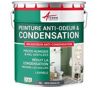 Peinture anti condensation anti odeur moisissure Gris Basalte - RAL 7012 10 L