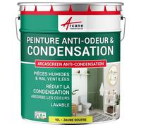 Peinture anti condensation anti odeur moisissure Jaune soufre RAL 1016 10 L