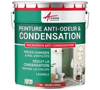 Peinture anti condensation anti odeur moisissure Rouge corail RAL 3016 10 L