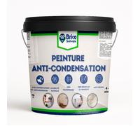 Peinture anti-condensation et anti-moisissure - BRICOSALVAJE - Blanc - Mat - 14L