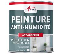 Peinture anti humidité mur humide salle de bain - ARCASCREEN - 0.75 L (jusqu'à 3 m²)