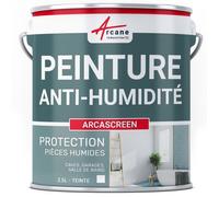 Peinture anti humidité mur humide salle de bain - ARCASCREEN - 2.5 L (jusqu'à 10 m²)